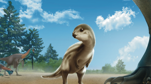 Un Kucciolo di nome Dooly - Doolysaurus huhmini