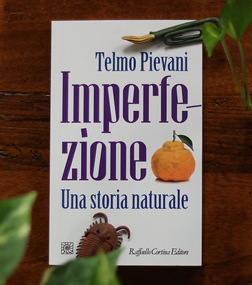 Roots of Existence Imperfezione Libo Copertina_edited.jpg