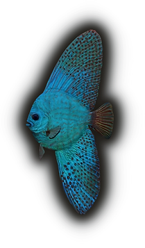 Paleoarte Bolca Fabio Manucci RoE Web Fi