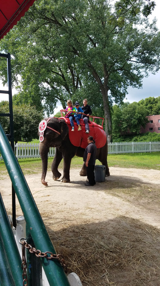Enjoying More Family time in Wisconsin and A Near Disaster Averted