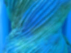 Lady of The Sea (detail)