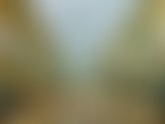 How to find a trendy clothes wholesaler in the UK?