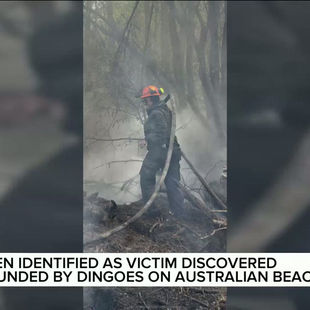 B.C. teen identified as victim discovered surrounded by dingoes on Australian 