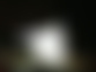 Rajah Wild, Top scheme - Chop Suey (Official Music Video)