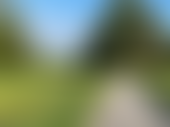 A leader's greatest dilemma