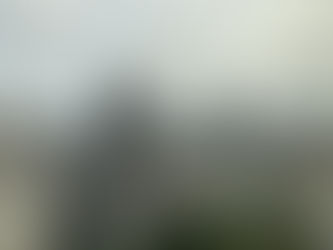 都庁からの景色