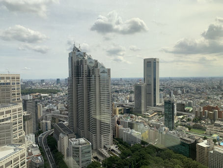 都庁からの景色