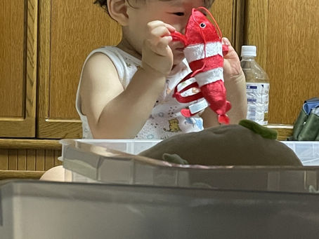 甥っ子の成長記録‼