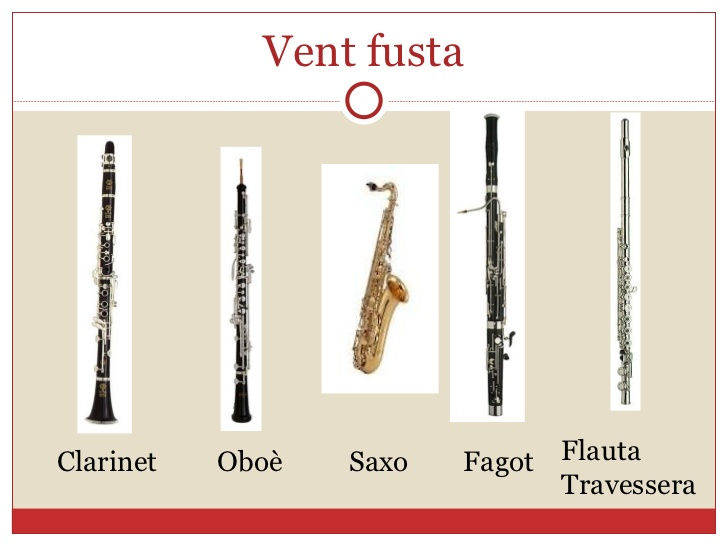 vent fusta.jpg