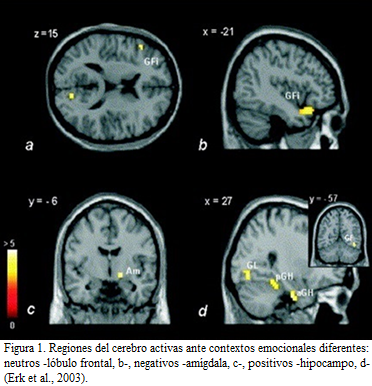 ¿Cuáles son las asignaturas más importantes para el cerebro?