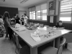 IMG_2888
