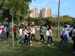 IMG_20181023_130837_415