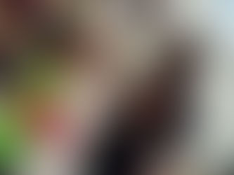 VISITA SOBRE REPRODUCCIÓ ASSISTIDA A LES MAGRANES