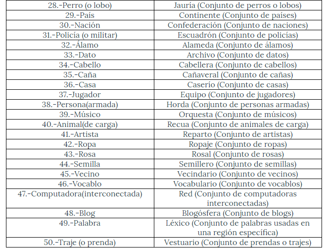 COLECTIVO 2