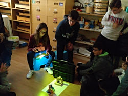 IMG_20181128_130706_148