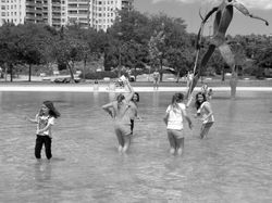 IMG_20170513_152241