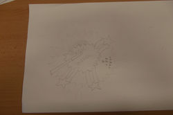 DSCF0599