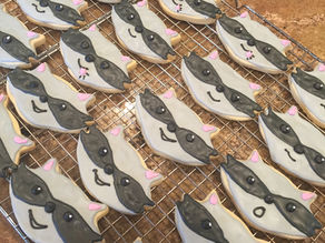 Frosted Sugar Cookies