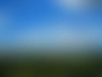 The Griffin Museum of Science and Industry