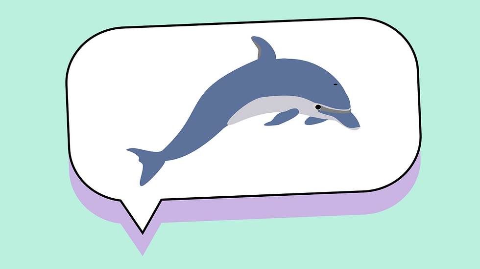 The Benefits of Blogs for Business: Lessons from a Lifelong Love of Dolphins