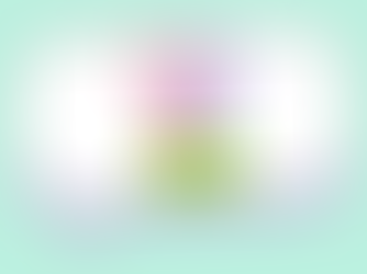 Where to Show Up Online- Finding the Best Social Media Platform to Grow Your Business