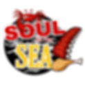 soul of the sea logo_edited.png