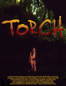 TORCH.jpeg