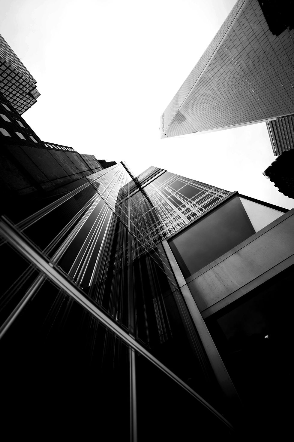 Photo 1 Négo_edited.jpg