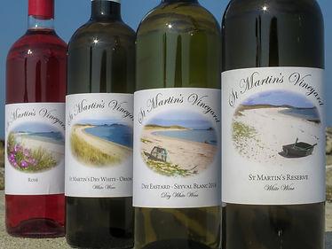 Four wine bottles lined up together with their labels facing the camera