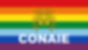 Confederation of Indigenous Nationalities of Ecuador (CONAIE)