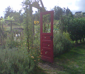 mcmenamins door copy.jpg