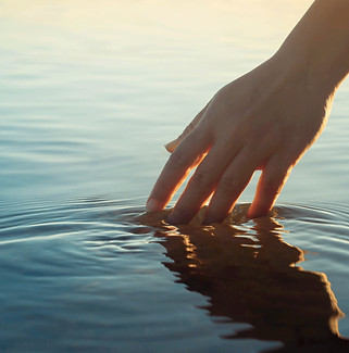 hand grazing water2_edited.jpg