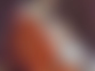 Hosea 11:1-11: Runaway Bunnies