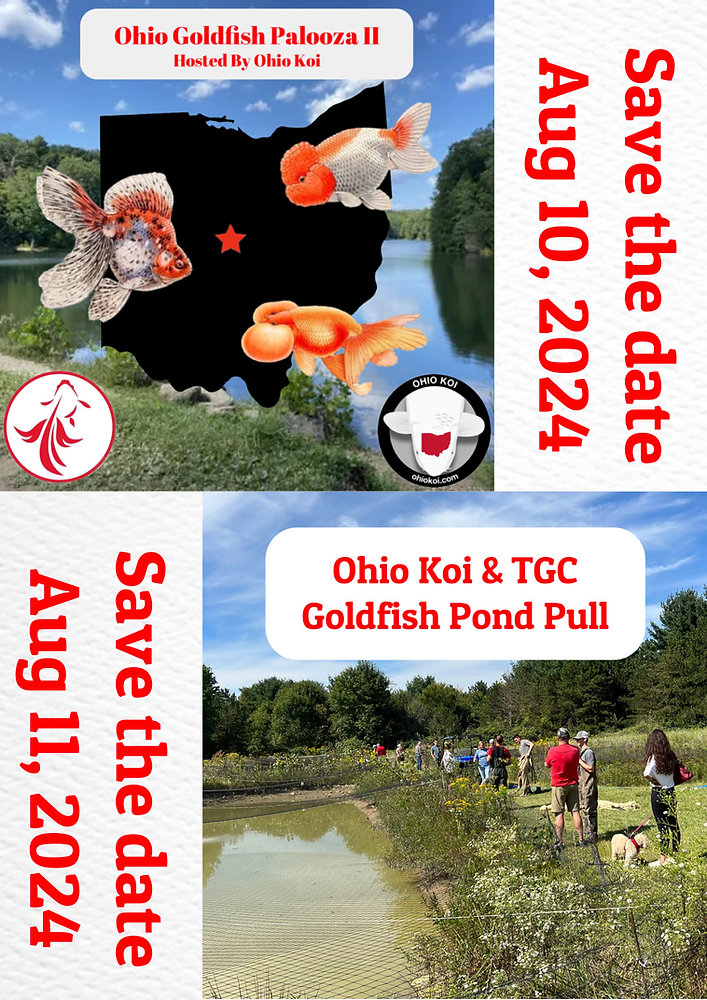 Save the dates!