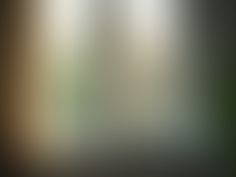 Benefícios das telas mosquiteiras: mantenha sua casa livre de insetos