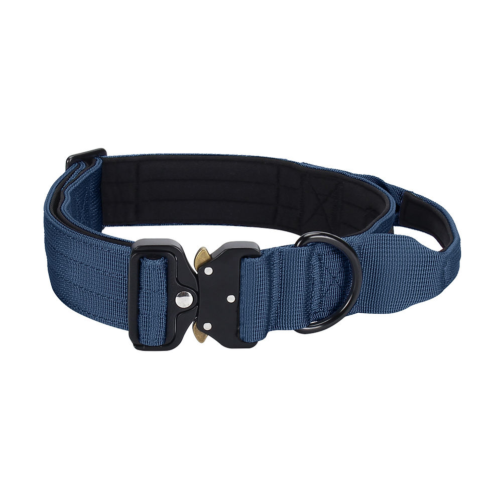 Miniaturbild: Taktisches Hundehalsband mit Kontrollgriff