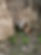 AE2A6E24-49DC-4FEB-AFDD-E613F01E0C12.jpeg
