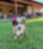 Lazy T9 Ranch Emma