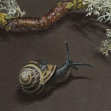 Snail and branch with lichen