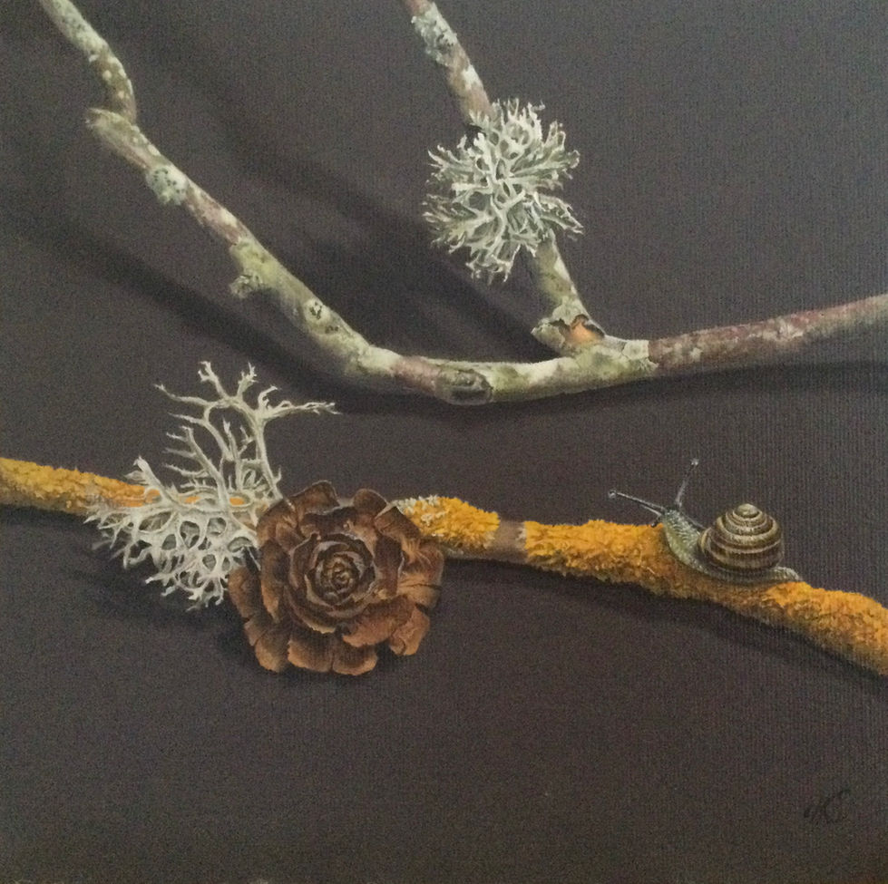 Lichen and Snail
Oil on Canvas Board