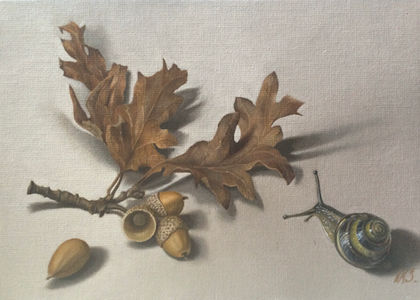 Acorns and Snail
Oil on Canvas/board 2025
5 x 7"
Acorns and Snail
