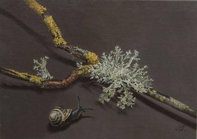 Lichen and Snail
Oil on Canvas Board