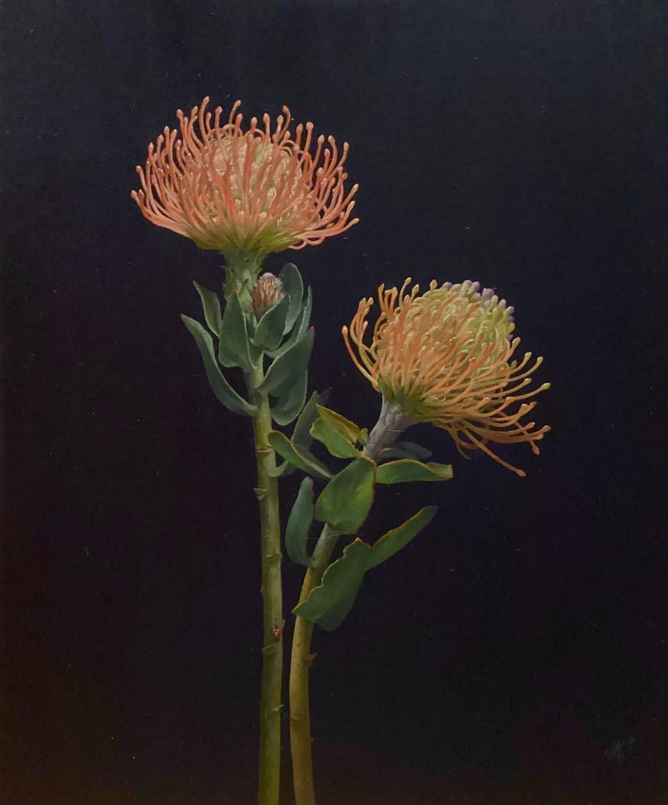 Still Life Study, Proteas