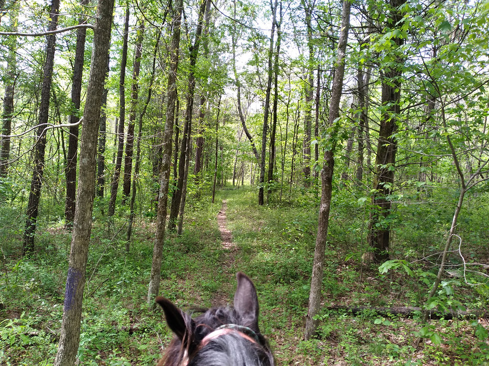 National Trails Day on the Ozark Trail