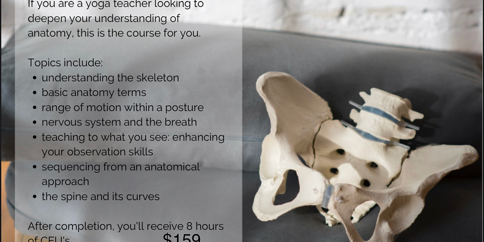 YOGA ANATOMY FOR TEACHERS: ASANA IN ACTION