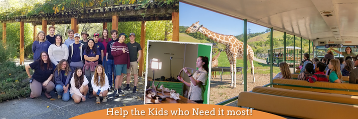 Pictures of children participating in the three organizations programs