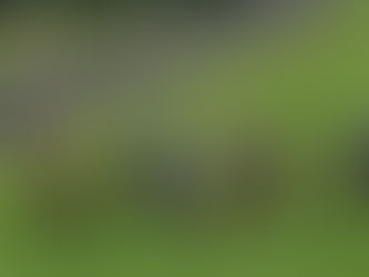 Carston toasts win with Trelawney Stud mare