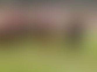 Carston holds strong hand at Wingatui