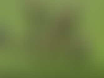 Northern raid goes to plan