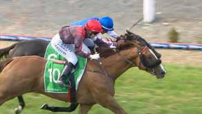 Carston racing pair salute at Ashburton